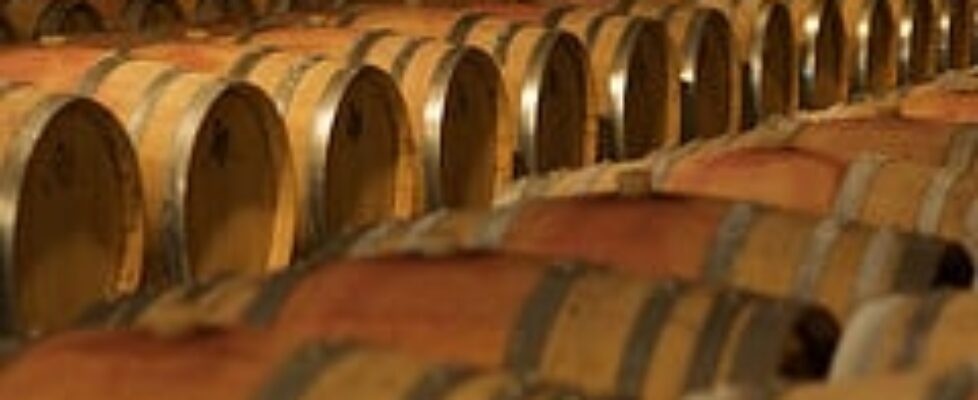 barrique tourleadertreviso