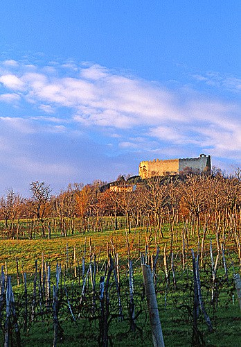 asolo la rocca tourleadertreviso