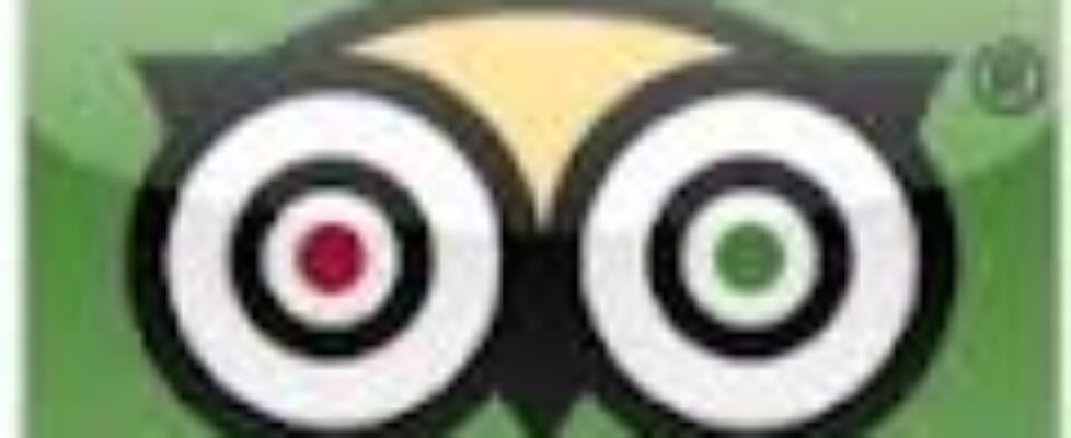 tripadvisor