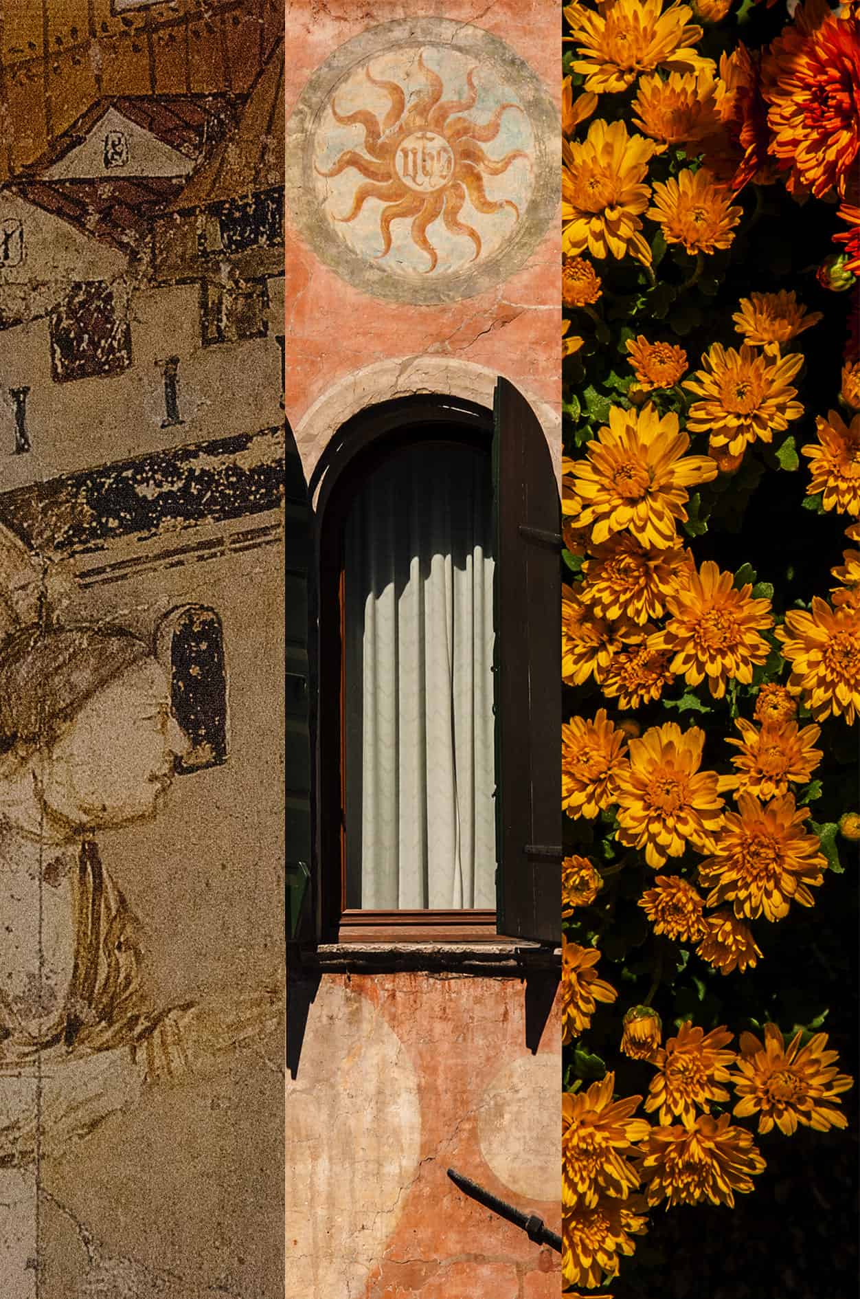 treviso collage san bernardino