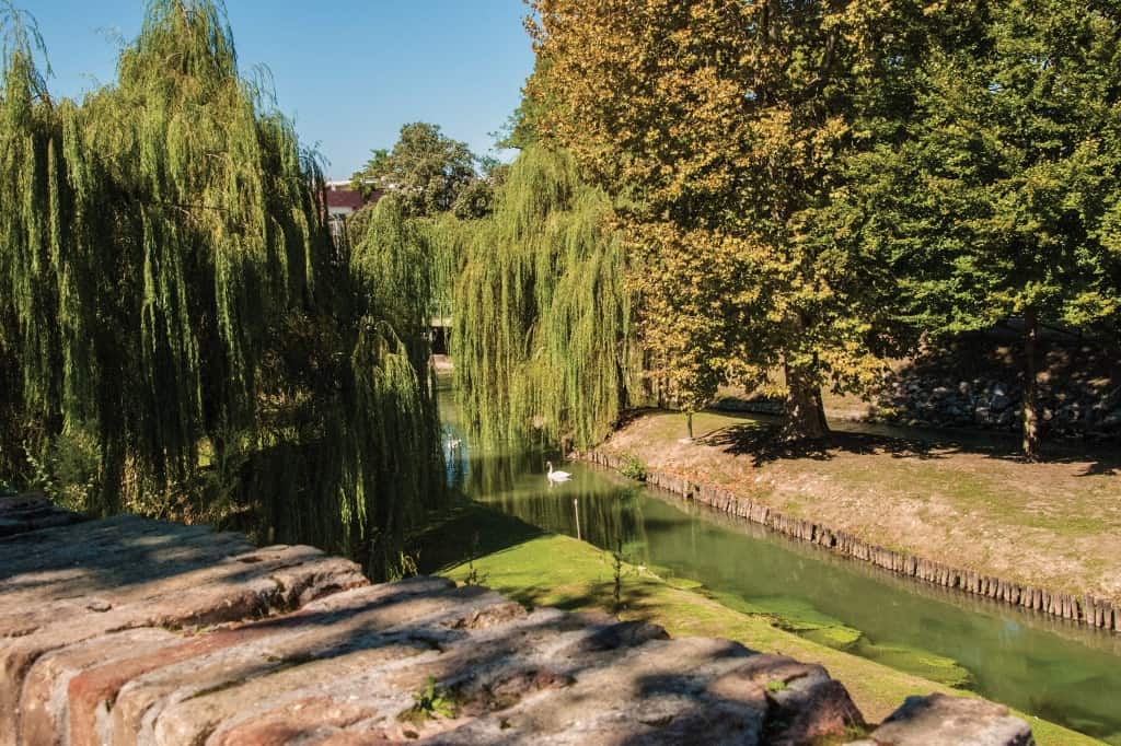treviso canal
